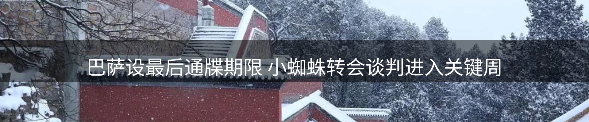 平台资讯