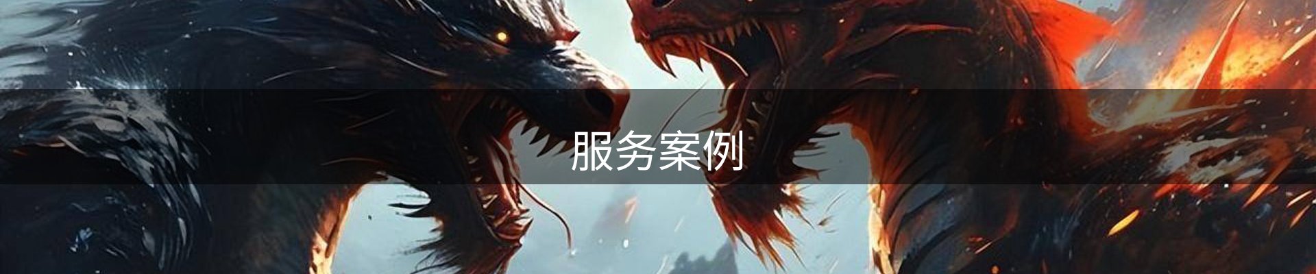 服务案例